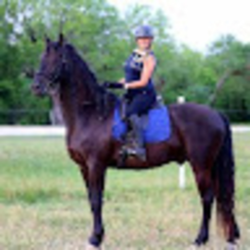 Meet your Posher, Linda's orthodontic lab inc